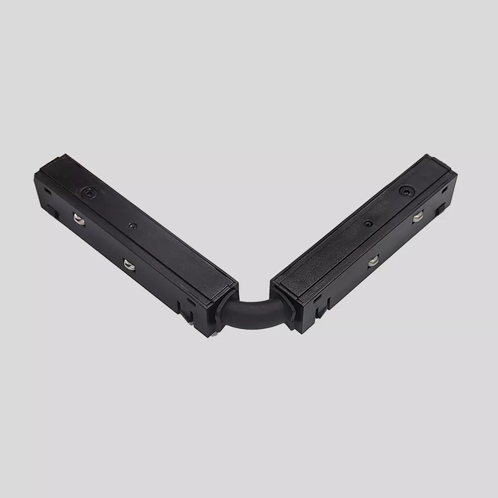RBP1